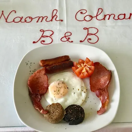 Naomh Colman Gort